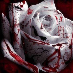 Meet your Posher, Preston